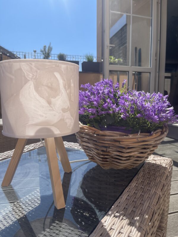 Lampa se stínidlem s fotkami - Image 3