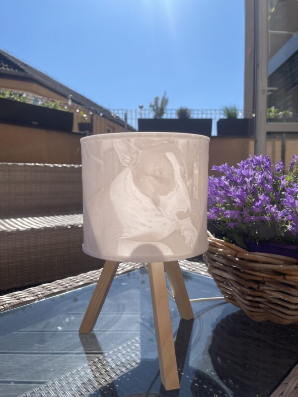 Lampa se stínidlem s fotkami - Image 4