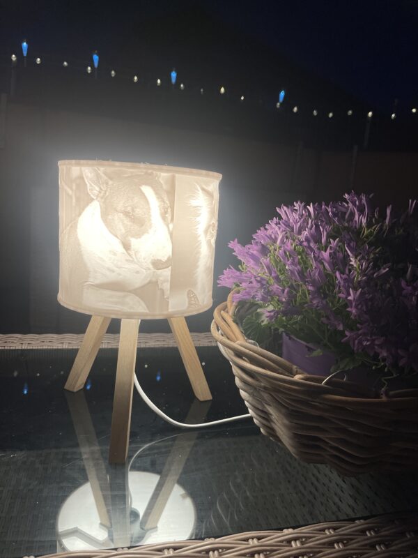 Lampa se stínidlem s fotkami - Image 6