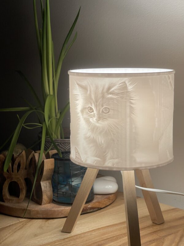 Lampa se stínidlem s fotkami - Image 7