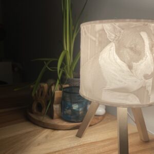 Lampa se stínidlem s fotkami