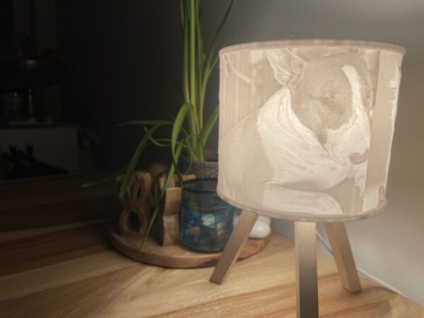 Lampa se stínidlem s fotkami